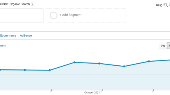 SEO Experiment: An informative-based project grew without link building